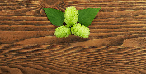 Image showing Hop plant on a wooden table