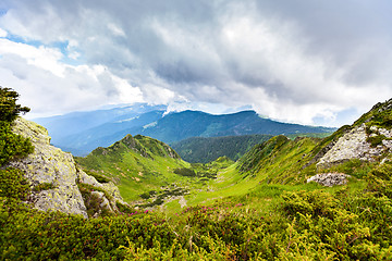 Image showing Carpathian mountains