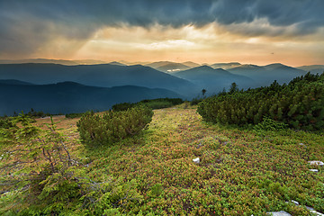 Image showing Carpathians mountains