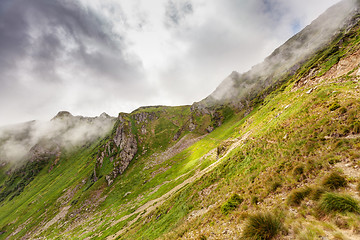 Image showing Carpathian mountains