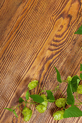 Image showing Hop plant on a wooden table