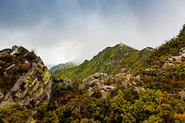 Image showing Carpathian mountains