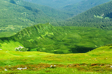 Image showing Carpathian mountains