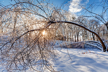 Image showing Icy landscape