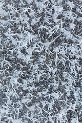 Image showing Icy snowflakes