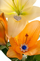 Image showing Lilies bloom with luxury