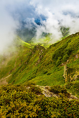 Image showing Carpathian mountains