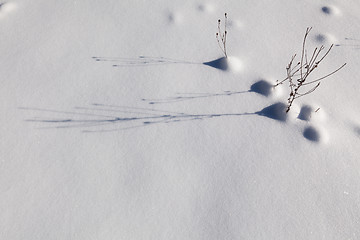 Image showing Snow carpet