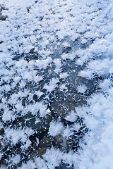 Image showing Icy snowflakes