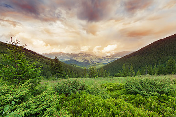 Image showing Carpathian mountains