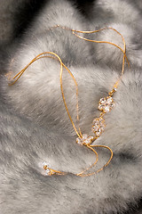 Image showing Beautiful chain on fur