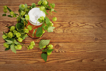 Image showing Pint and hop plant