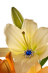 Image showing Lilies and a brooch with blue gem