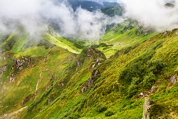 Image showing Carpathian mountains