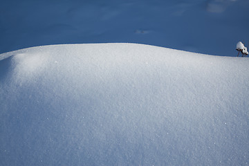 Image showing Snow carpet