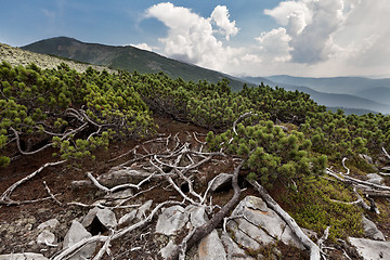 Image showing Carpathians mountains