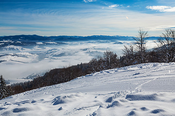 Image showing Carpathian mountains