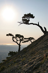 Image showing Sunrise in Crimea