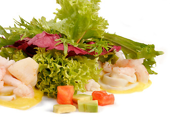 Image showing Prawn salad