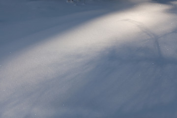 Image showing Snow carpet