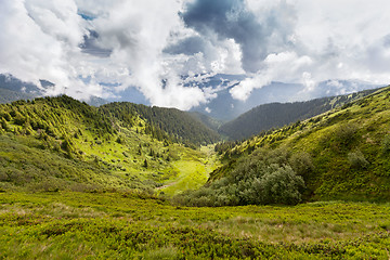 Image showing Carpathian mountains