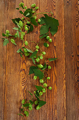 Image showing Hop plant on a wooden table