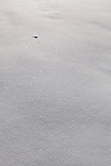 Image showing Snow carpet