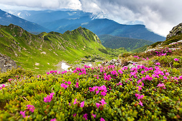 Image showing Carpathian mountains