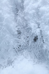 Image showing Snow background