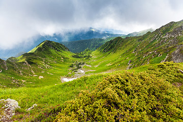 Image showing Carpathian mountains