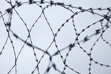 Image showing Barbed Wire