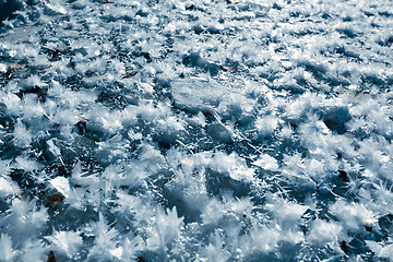 Image showing Icy snowflakes