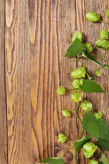 Image showing Hop plant on a wooden table