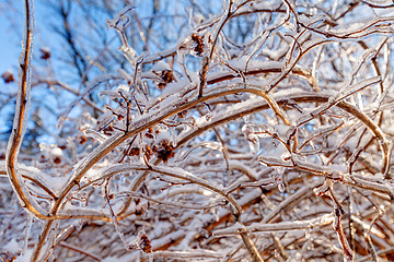 Image showing Icy landscape