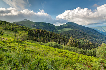 Image showing Carpathian mountains