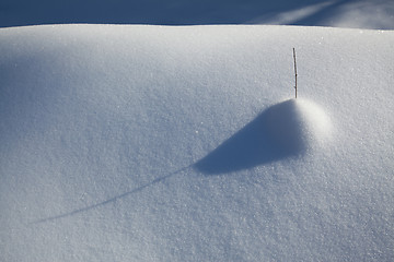 Image showing Snow carpet