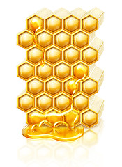 Image showing Bee honeycombs