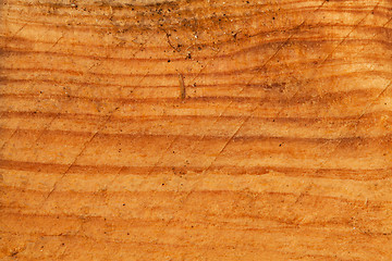 Image showing Texture of wood