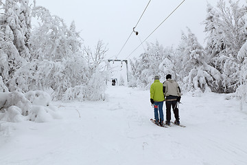 Image showing Rope tow in frozen forest