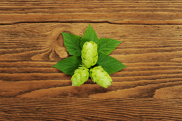 Image showing Hop plant on a wooden table