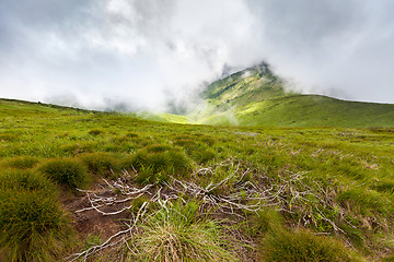 Image showing Carpathian mountains