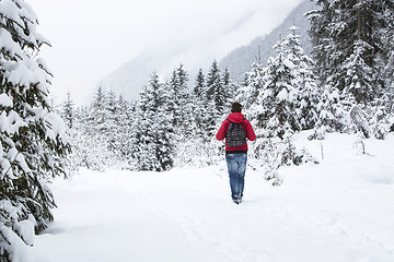 Image showing Young man hiking in wintry forest landscape