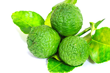 Image showing Bergamot fruit on white background. 