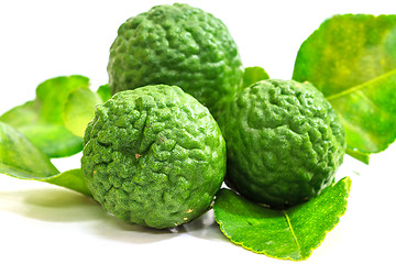 Image showing Bergamot fruit on white background. 