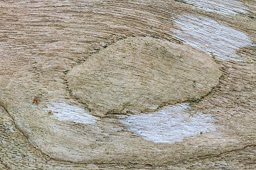 Image showing texture of bark wood