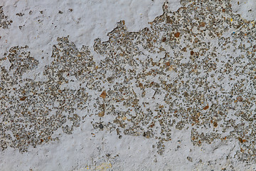 Image showing texture Concrete old Wal