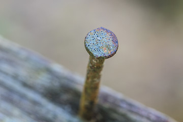 Image showing Nail in wood surface, horizontal photo