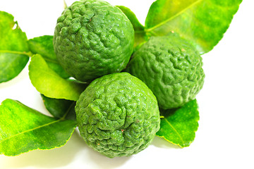 Image showing Bergamot fruit on white background. 