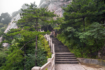 Image showing Huangshan mountain stairs path into forest