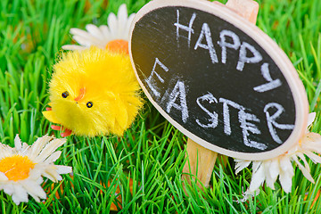 Image showing Small easter chicken on the grass